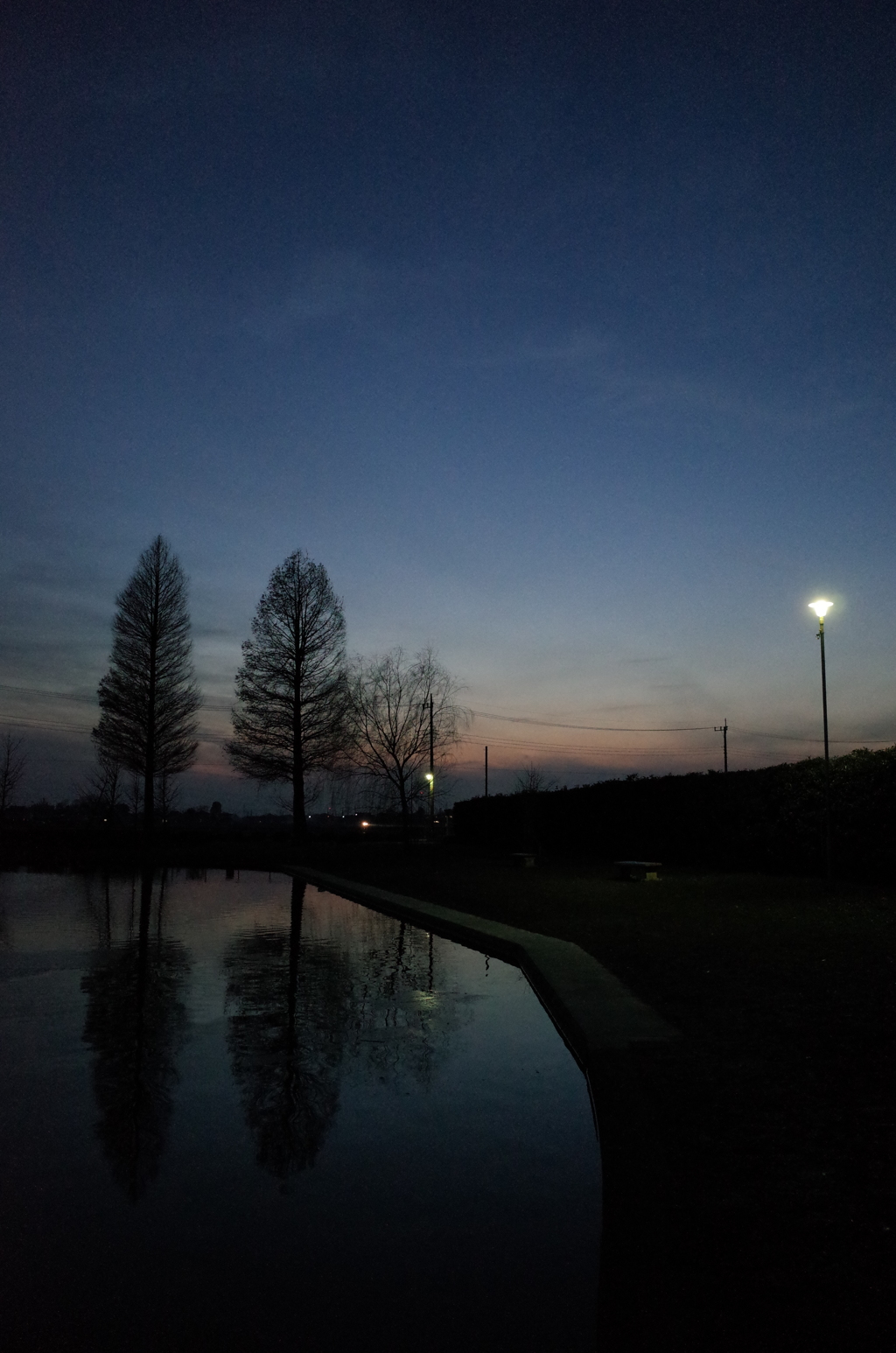 2014/12/28_川里中央公園の夕暮れ