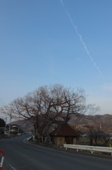 2014/03/29_小屋と木と飛行機雲