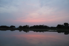 2016/05/01_水田の夕暮れ