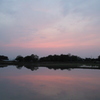 2016/05/01_水田の夕暮れ