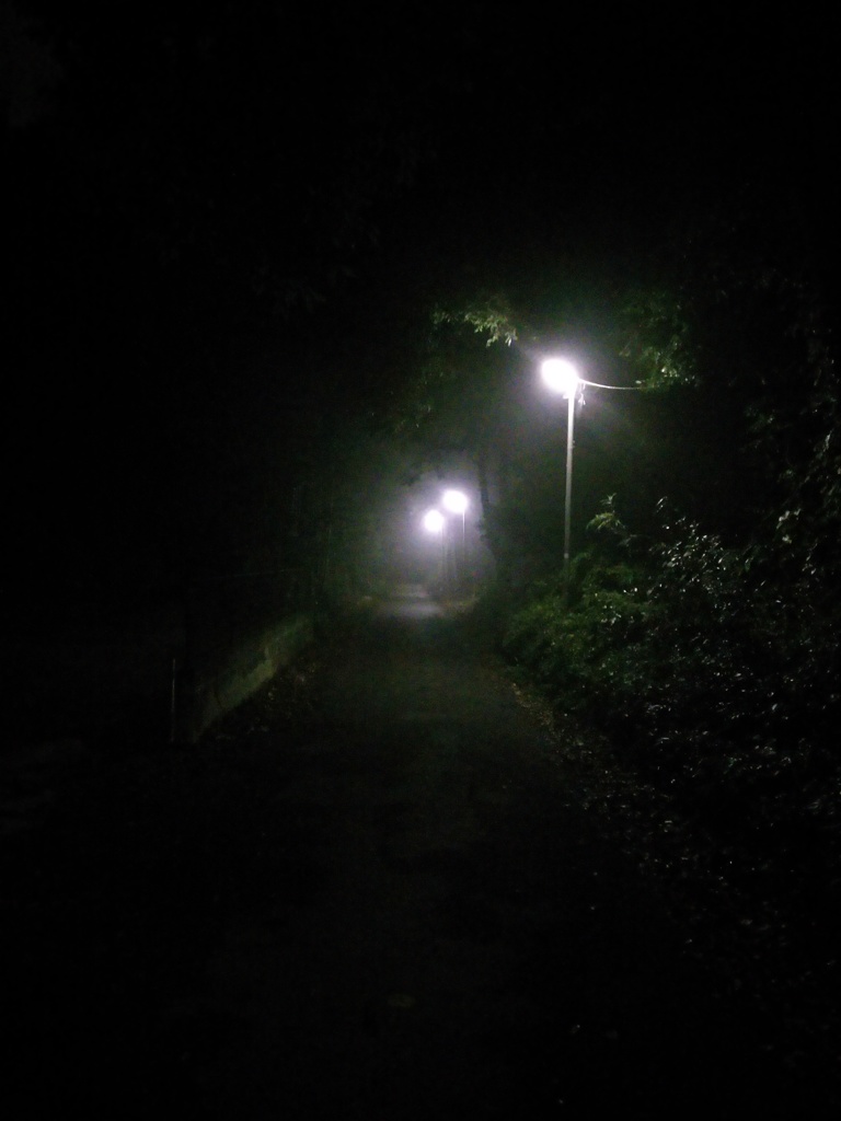 2016/10/09_薄ら靄の夜道