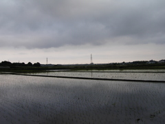 2017/05/27_水田の曇天