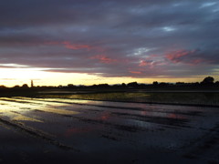 2017/06/04_水田の夕暮れ