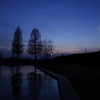 2014/12/28_川里中央公園の夕暮れ