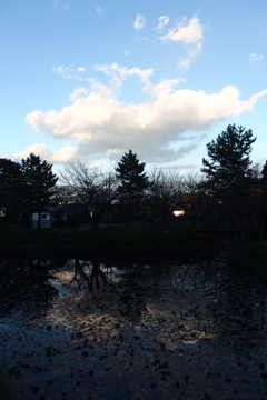 2015/11/03_岩槻城址公園