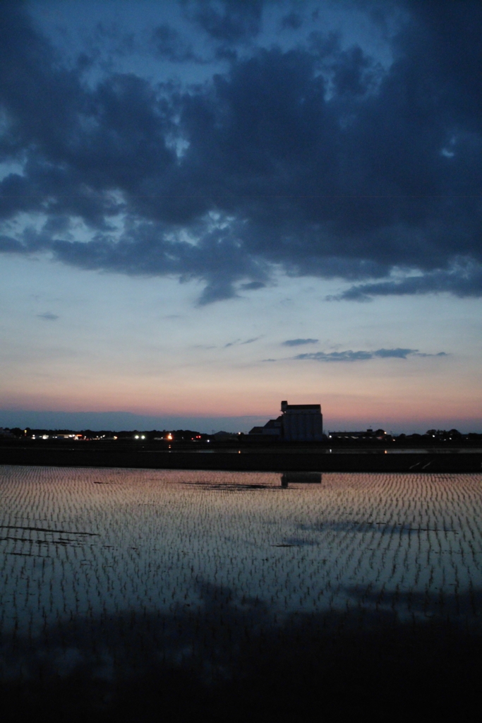 2016/06/05_水田の夕暮れ