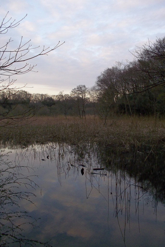 2016/03/26_北本自然観察公園