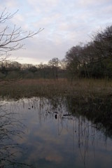 2016/03/26_北本自然観察公園