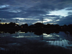 2017/07/01_水田の夕暮れ