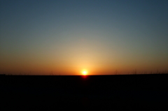 2015/03/28_渡良瀬遊水地の夕暮れ