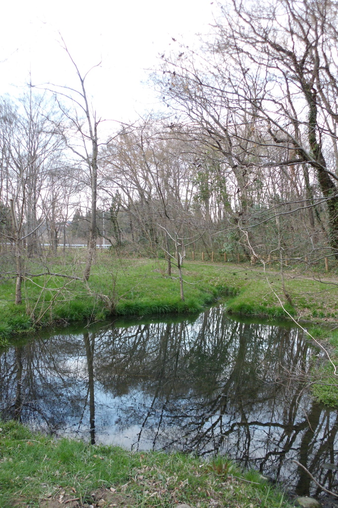 2016/03/26_北本自然観察公園