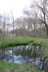 2016/03/26_北本自然観察公園