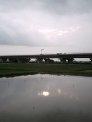2015/07/05_水田に曇天