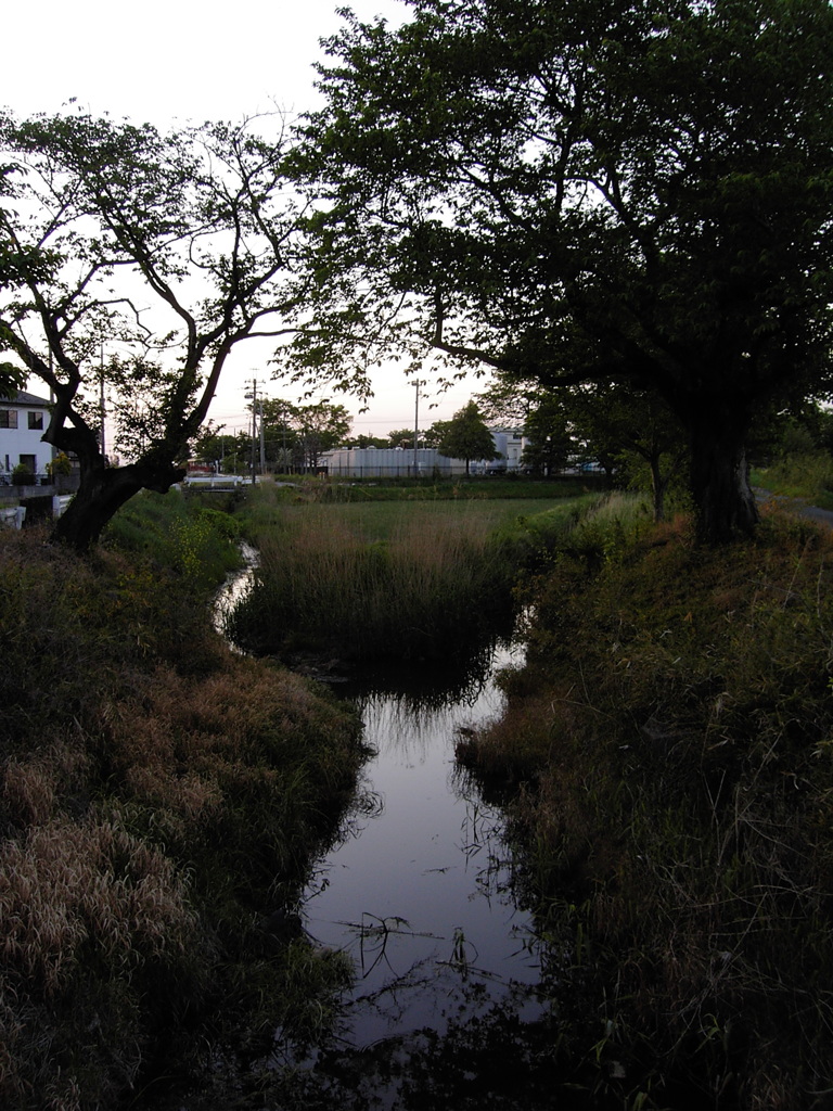 2017/05/04_夕暮れの栢間赤堀