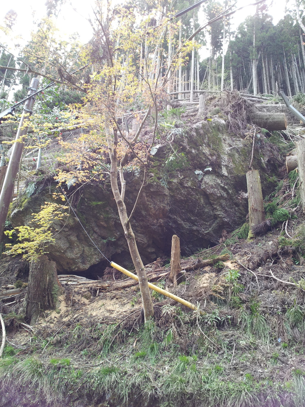 2019/04/13_貴船山の巨岩