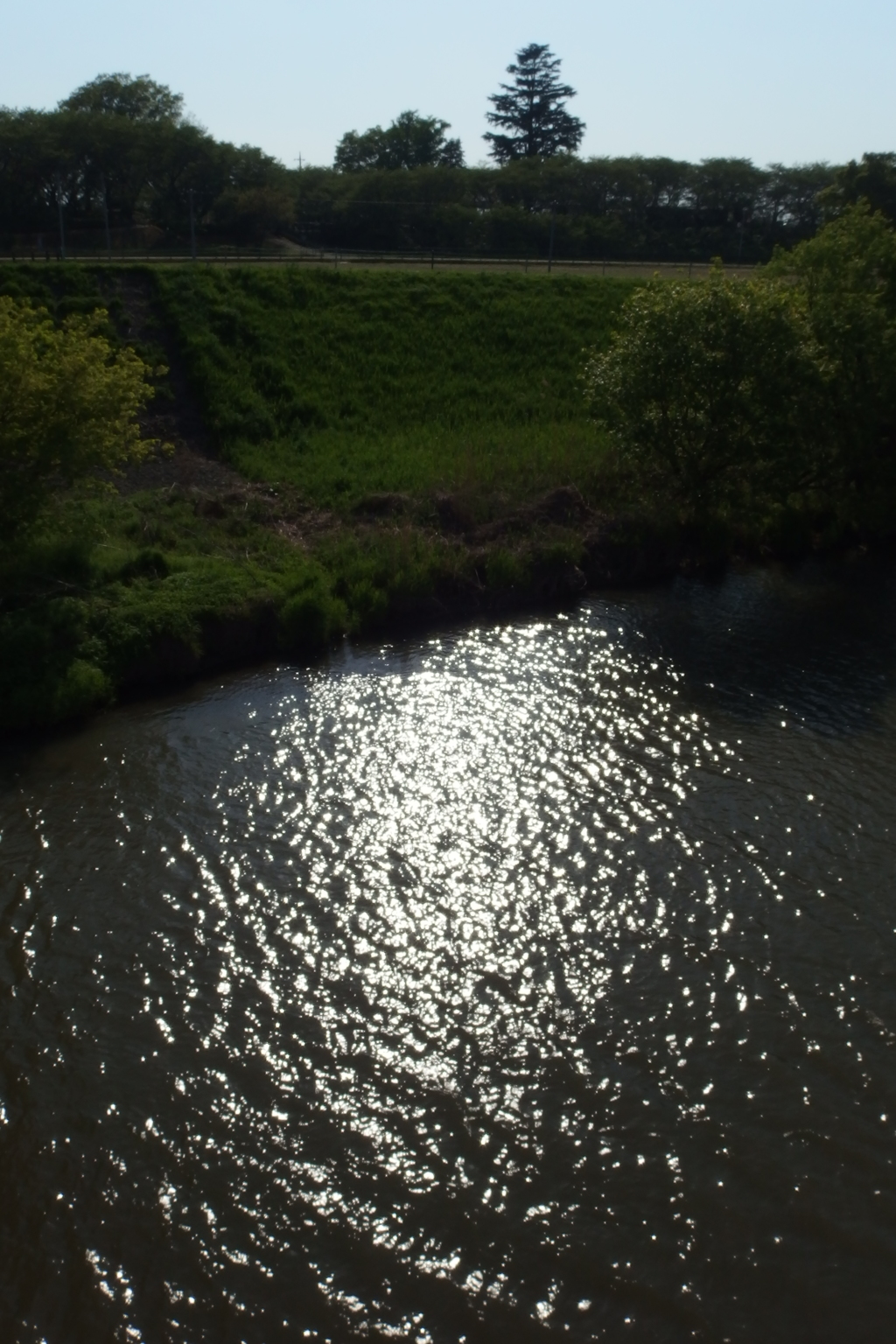 2015/04/26_光る中川