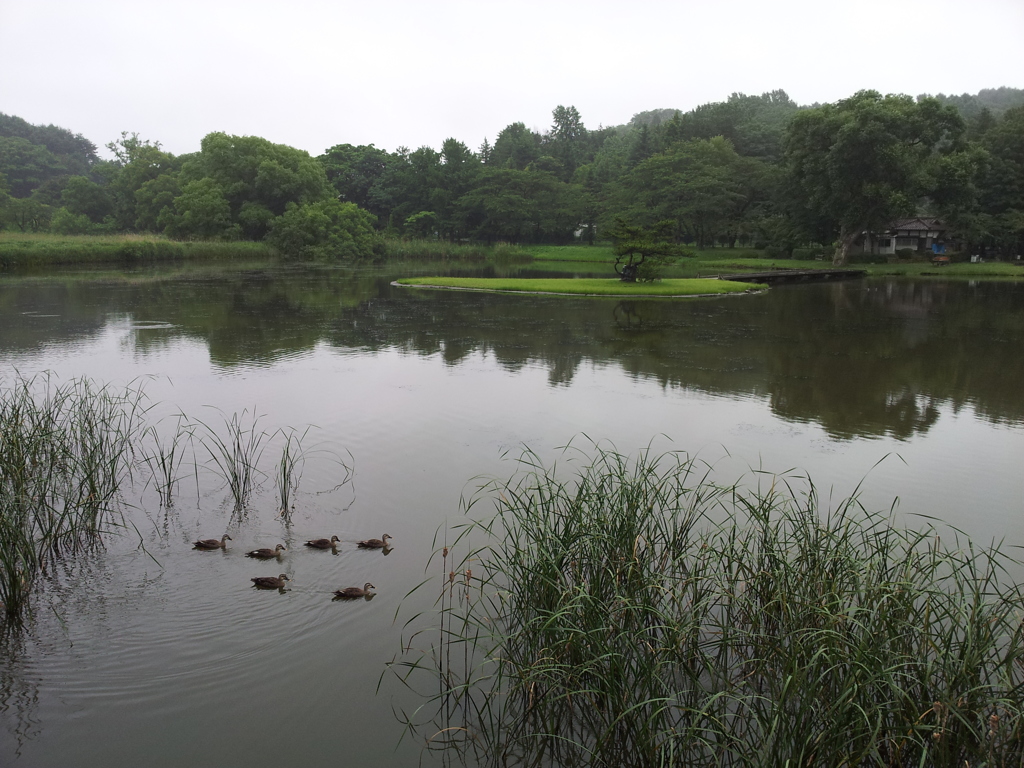 2016/07/17_高松公園 芝水園