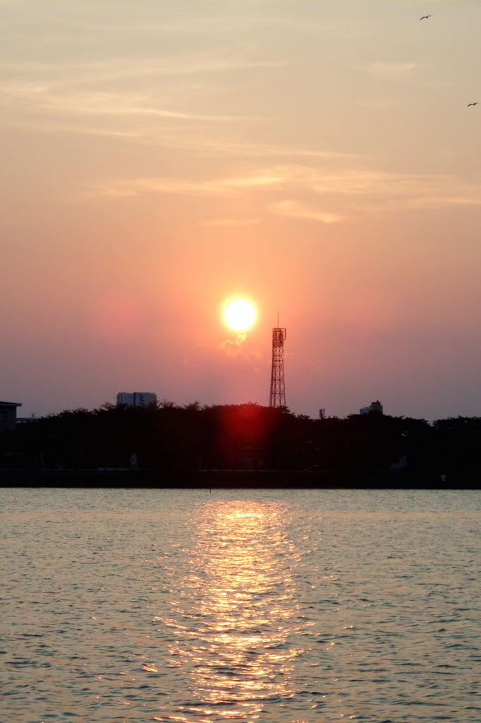 2015/07/26_伊佐沼の夕日