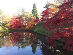 2016/11/14_弘前公園 中濠と丑寅櫓