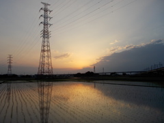 2017/06/11_水田の夕暮れ