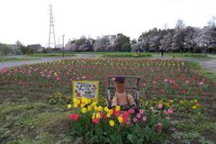 2016/04/09_花の丘農林公苑のチューリップ