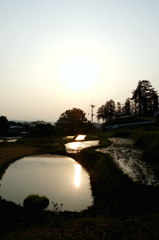 2014/05/25_夕暮れの寺坂棚田