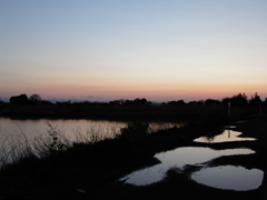 2017/04/15_水溜まりと溜め池の夕暮れ