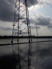 2017/06/11_水田に雲