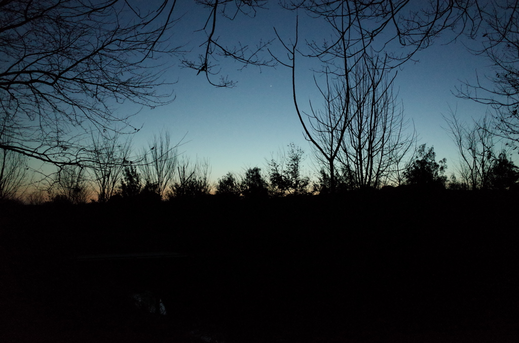 2015/02/15_夕暮れの秋葉の森総合公園