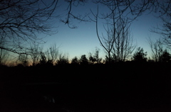 2015/02/15_夕暮れの秋葉の森総合公園