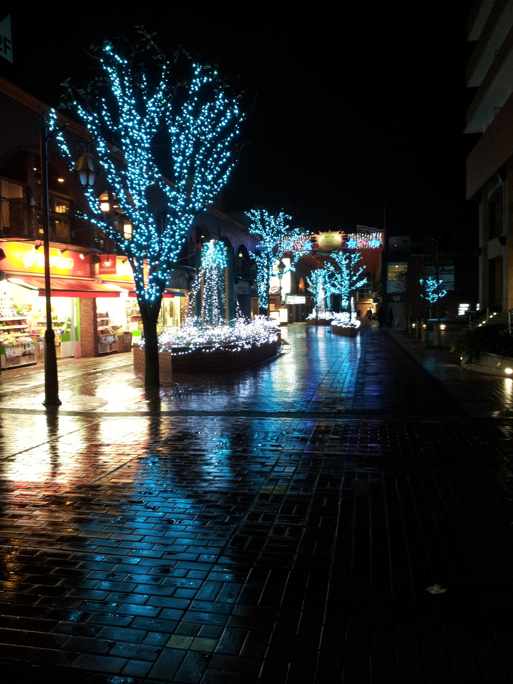 2015/11/23_雨上がりの夜のモンシェリー