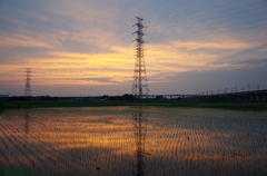 2015/06/14_水田の夕暮れ