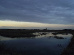 2017/02/18_溜め池の夕暮れ