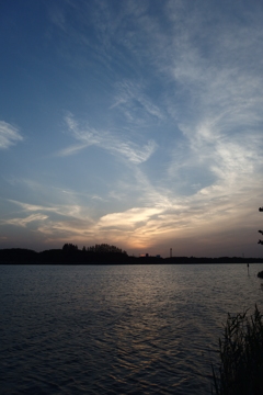 2016/05/07_伊佐沼の夕暮れ