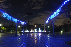 2014/12/06_夜の北本総合公園