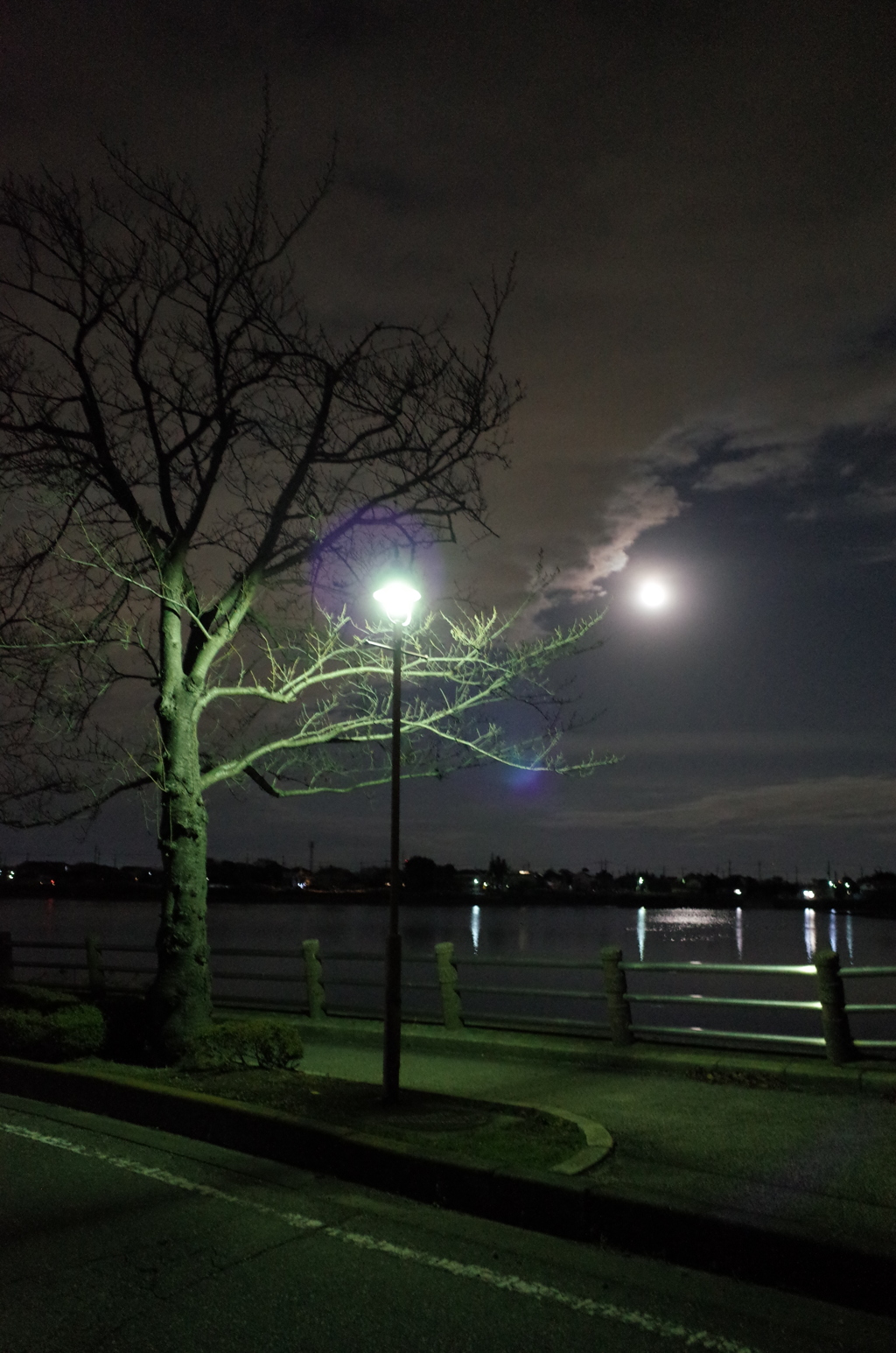 2014/12/07_月夜の伊佐沼