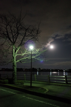 2014/12/07_月夜の伊佐沼