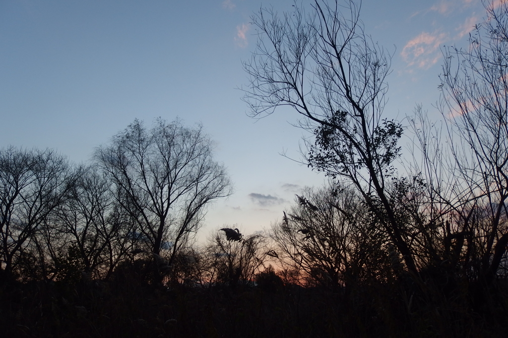 2015/12/31_夕暮れ