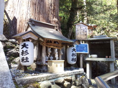 2019/04/13_由岐神社 大杉社