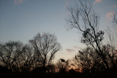 2015/12/31_夕暮れ