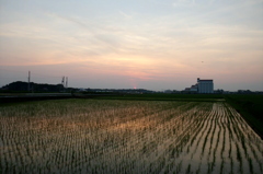 2015/07/12_水田の夕暮れ