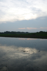 2016/07/02_水田の夕暮れ