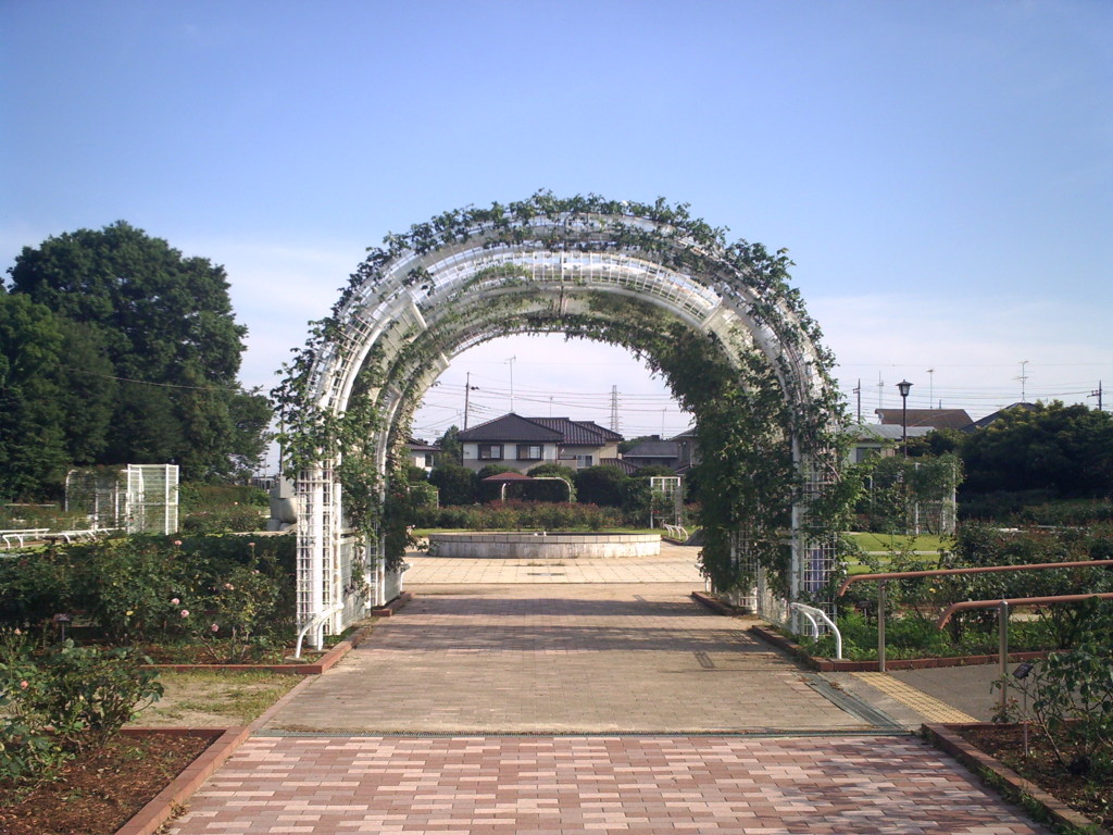 2014/06/15_伊奈バラ園