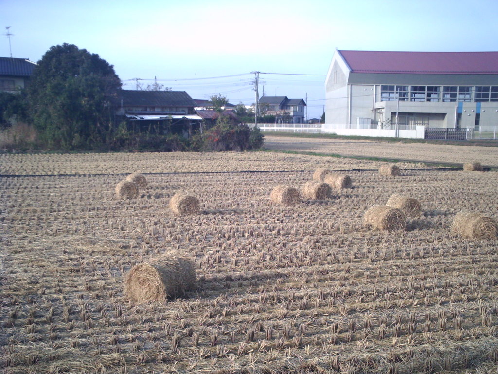 2015/11/01_藁ロール