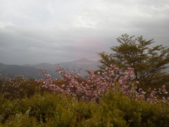 2018/04/16_美の山公園の花と武甲山