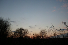 2015/12/31_夕暮れ