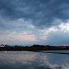 2016/06/26_水田の夕暮れ