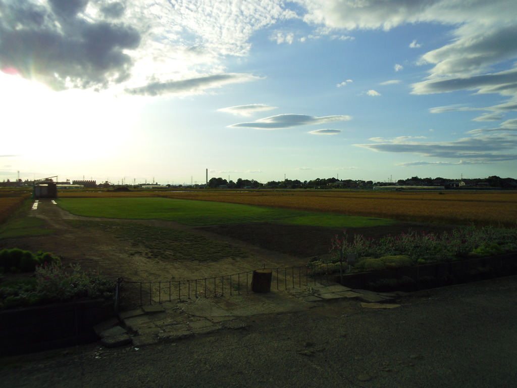 2017/06/04_田んぼの中のスペース