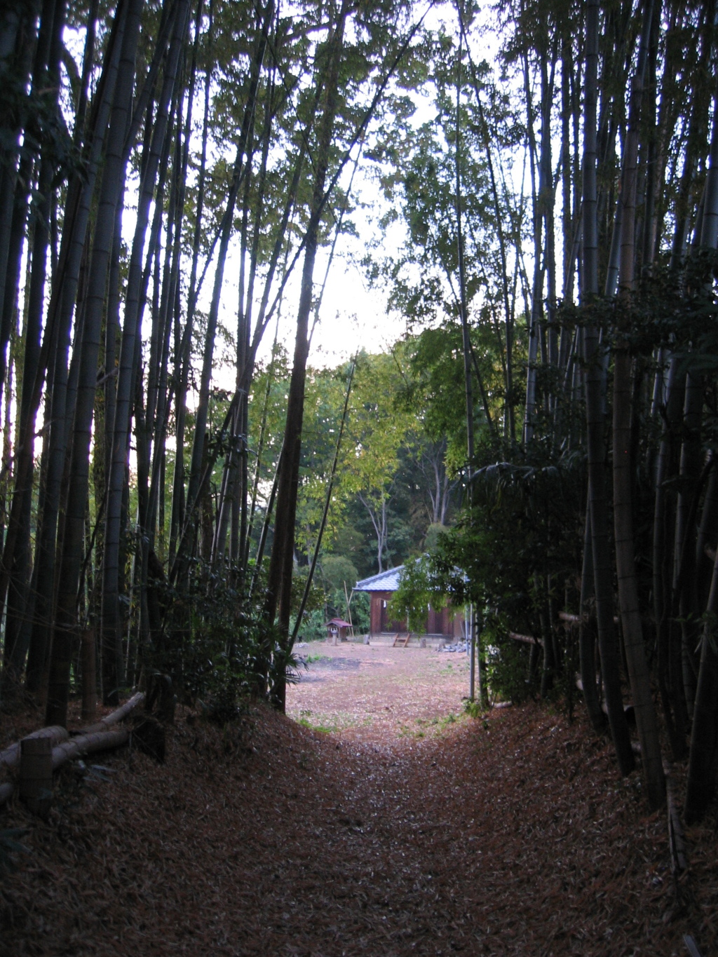 2017/05/06_夕暮れの頭殿神社