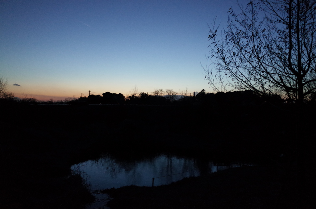 2015/02/15_夕暮れの秋葉の森総合公園